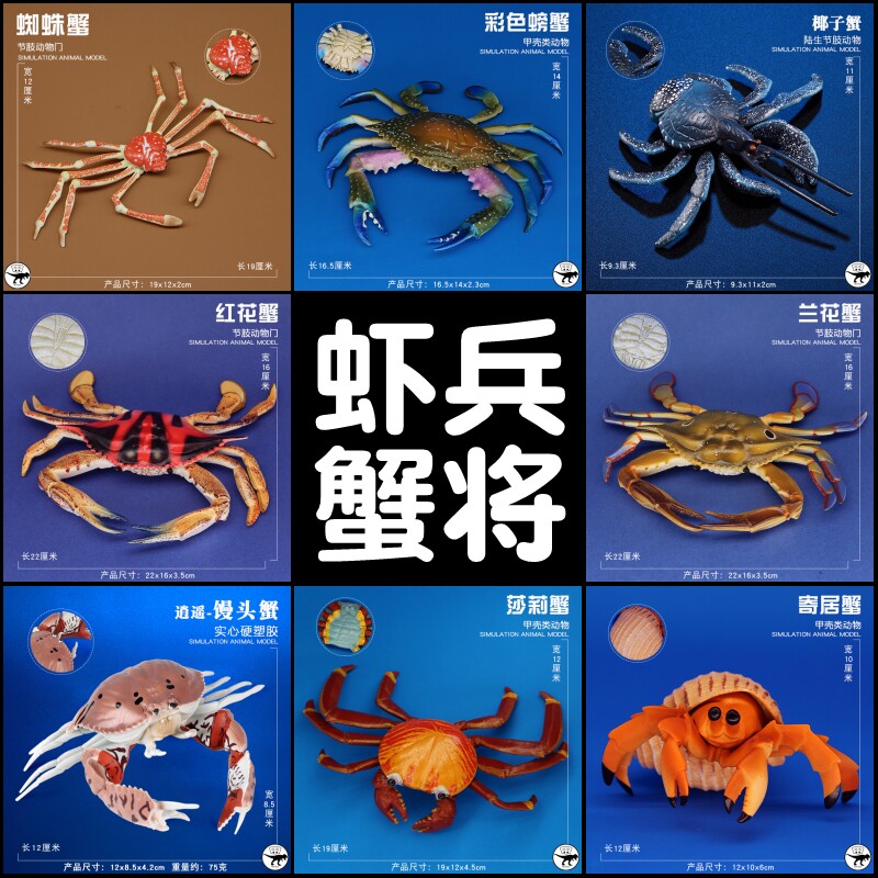 儿童海洋生物玩具螃蟹模型爬行动物仿真小龙虾寄居蟹馒头蟹蜘蛛蟹
