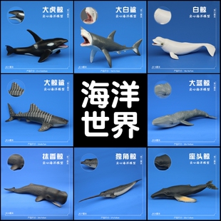 儿童实心海洋生物模型仿真动物玩具大白鲨鱼虎鲸鱼巨齿鲨男孩手办