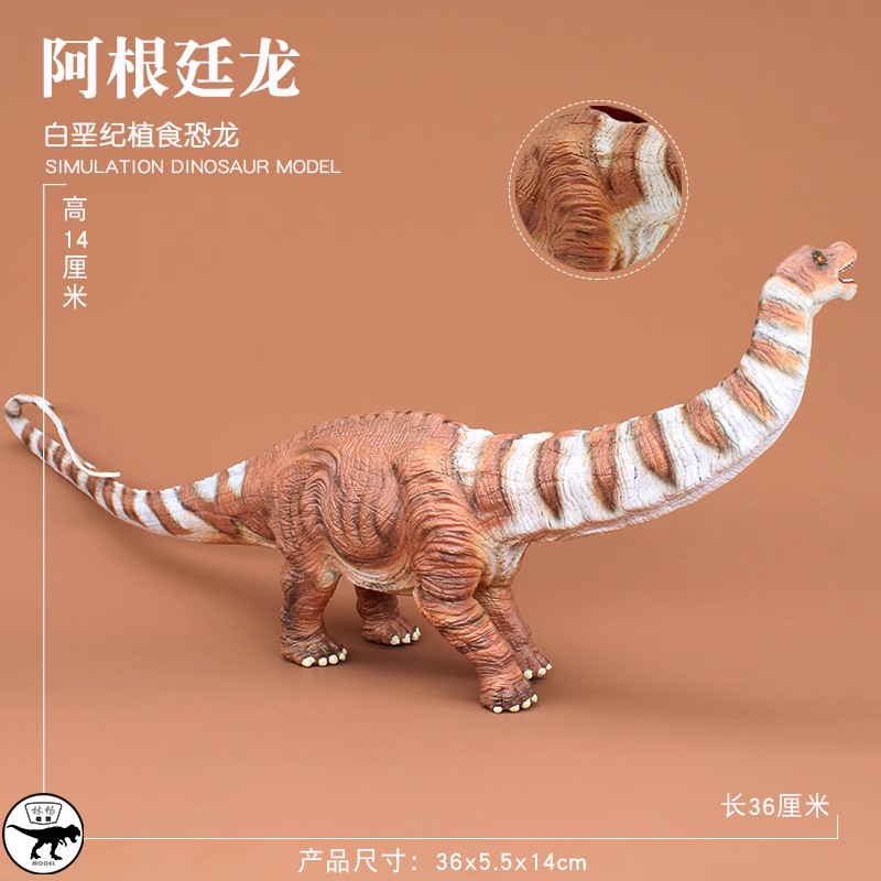 林畅模玩阿根廷龙模型仿真恐龙