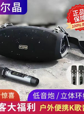 维尔晶(W-King)D10+ D20S便携式无线蓝牙音箱低音炮大功率K歌音箱