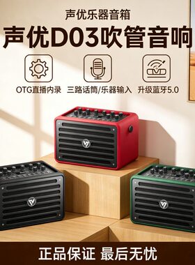 声优D03升级版便携防水电吹管二胡乐器专用户外K歌音箱蓝牙手提