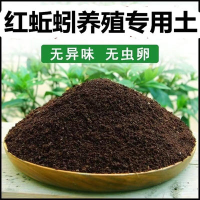 绿植植物花卉松软透气无味无虫