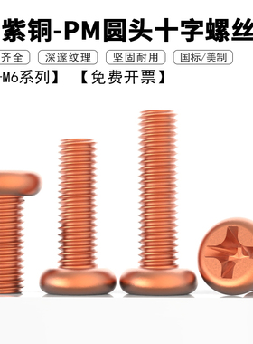 T2紫铜圆头十字螺丝PM 美制十字槽盘头螺栓机牙螺钉M2M2.5~M4M5M6