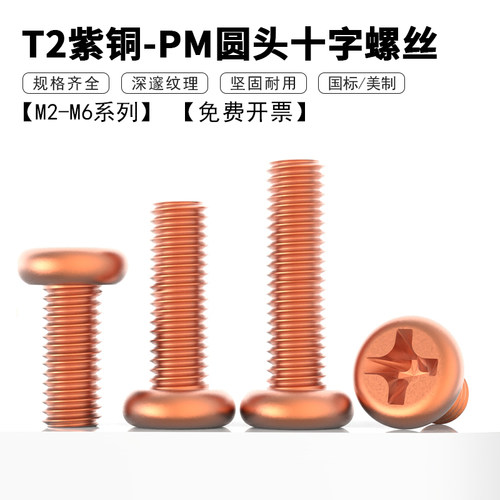 T2紫铜PM圆头十字槽盘头螺丝钉