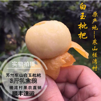 苏州东山槎湾村白玉枇杷白沙枇杷