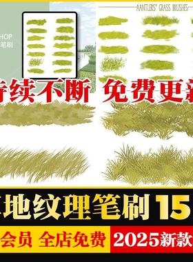 草地纹理PS笔刷procreate景观设计地被效果图分析图草坪特效素材