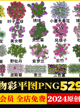 procreate彩平图植物树草花卉花境乔灌木平面图例PSD/PNG免抠素材