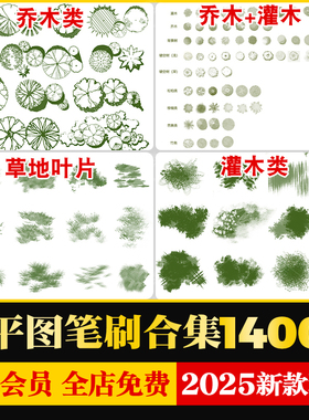 ipad procreate景观彩色平面图PS笔刷水体人物植物草坪材质铺装