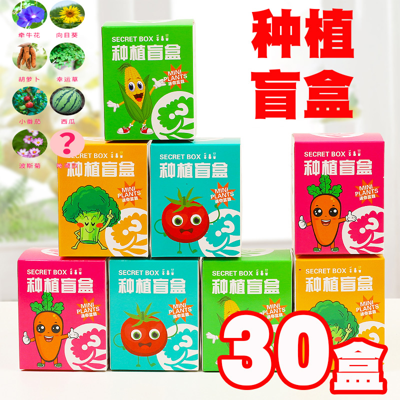 创意儿童赠送种植盲盒小礼品礼物