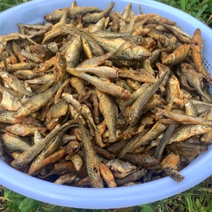 广西桂林农家自制漓江嫩子鱼干清水鱼干小鱼干水产干货500克包邮