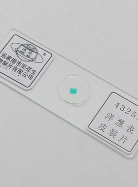 浪花牌中学生物科学实验用43251洋葱表皮装片玻片涂片器材