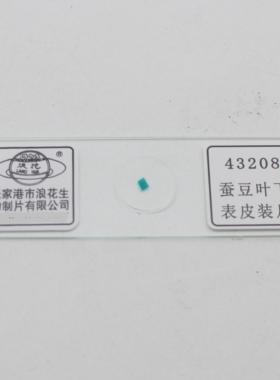 43208蚕豆叶下表皮装片张家港浪花牌生物切片涂片玻片中学实验器