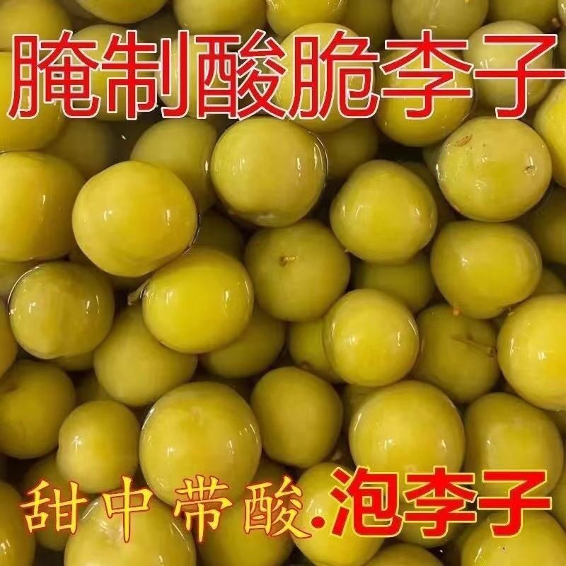泡李子潮汕特色甘草水果盐水李沉水梨新鲜三月李酸甜爽口解腻水果