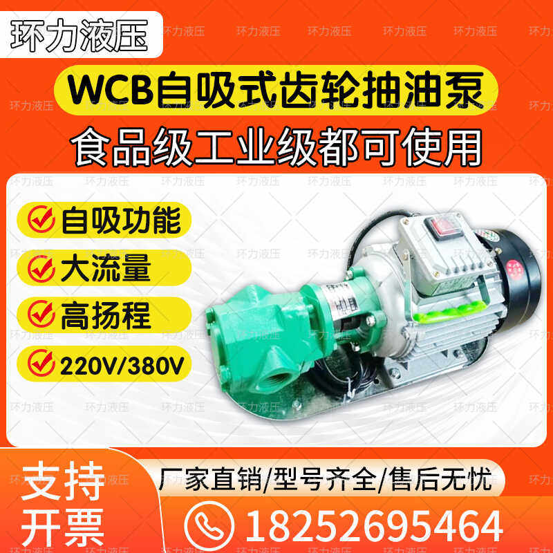 WCB齿轮油泵自吸式电动油泵高粘度柴油食用油抽油泵不锈钢油泵
