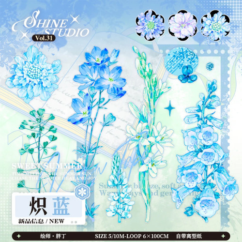 满18包邮Shine炽蓝-贝壳光分装特材拼贴贝壳光流麻手帐胶带咕卡盘