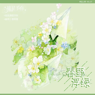 满18包邮摘星予你春野浮绿-贝壳光分装特材拼贴流麻手帐胶带