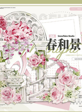 满18包邮snowflake春和景明贝壳光分装特材拼贴流麻手帐胶带