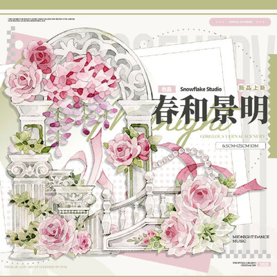 满18包邮snowflake春和景明贝壳光分装特材拼贴流麻手帐胶带