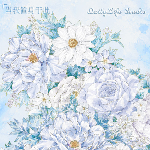 满18包邮Daily life霜白序-贝壳光分装特材拼贴流麻手帐胶带