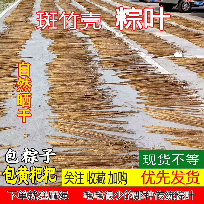 现货中国大陆重庆四川大个新鲜粽叶斑竹雷竹毛竹壳竹笋叶50张包邮