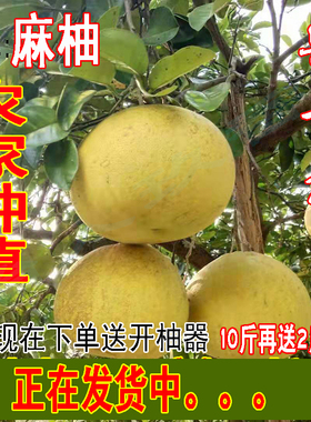 重庆柚子新鲜正宗梁平柚子现摘土特产当季孕妇推荐农家老树龙滩柚