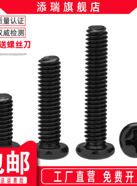 不锈钢黑色十字圆头螺丝钉PM加长盘头机牙螺钉精密电子小螺丝M3M4