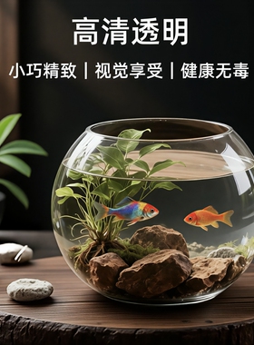 家用新手养小鱼缸加厚透明玻璃乌龟缸客厅桌面圆形造景小型金鱼缸