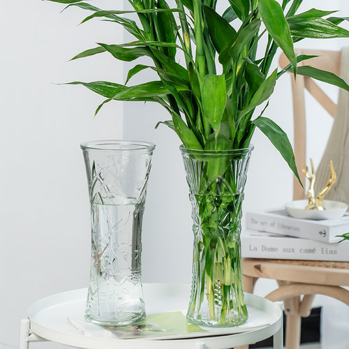 特大号富贵竹玻璃花瓶摆件透明水养家用装饰客厅餐厅南天竹花瓶