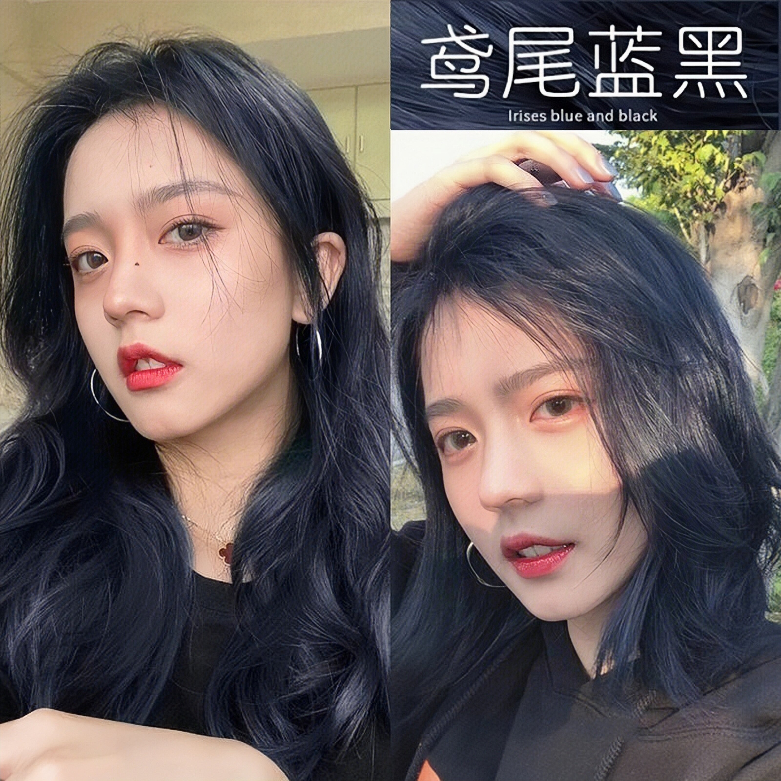 鸢尾蓝黑色系染发剂天然植物染发