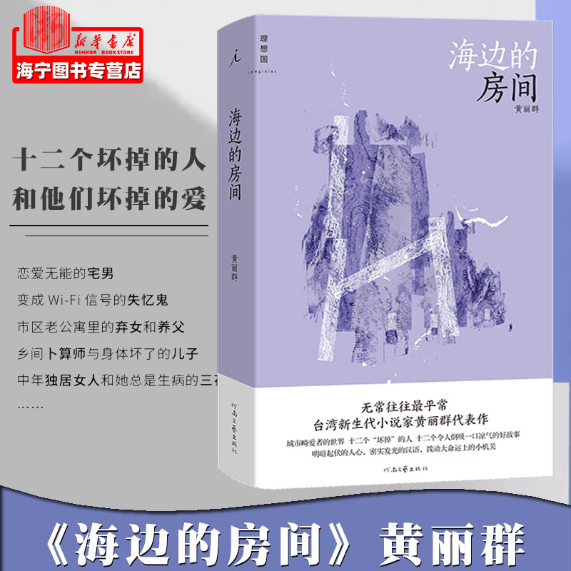 海边的房间黄丽群著短篇小说集理想国十二个坏掉的人十二个令人倒吸一口凉气的好故事河南文艺出版社