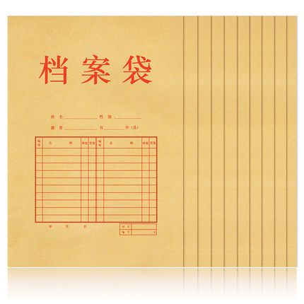 得力档案袋5953资料袋投标文件袋加厚牛皮纸档案袋10个装纸质