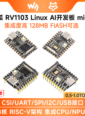幸狐 RV1103微型Linux开发板Luckfox Pico Mini 0.5TOPS AI算力