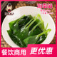 200g 火锅 袋 海带苗 海带幼苗 新鲜小海带嫩苗 煮汤 凉拌食材