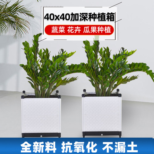 户外塑料西红柿家庭园艺辣椒花盆