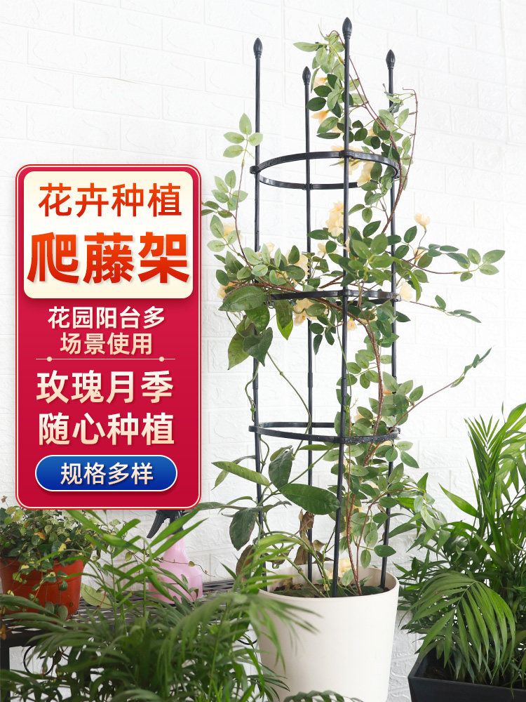 花架攀爬藤架玫瑰花盆支撑支架柱架蓝色雪花蟹爪兰花藤架固定攀爬