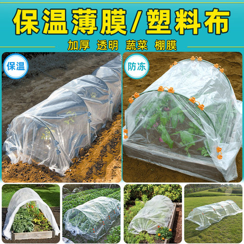 家庭园艺防寒保温薄膜塑料布棚膜