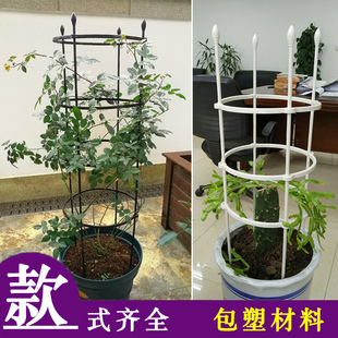 花盆支撑支架柱形架子蓝雪花蟹爪兰藤架固定攀爬杆 花架爬藤架月季