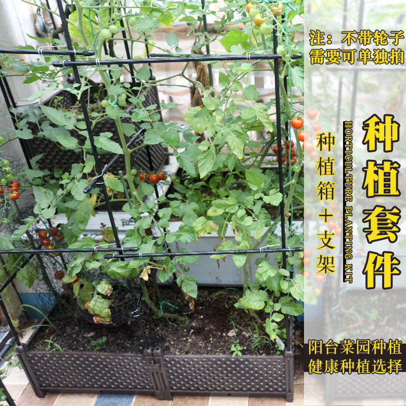极速种菜盆家庭小花盆种植箱屋顶菜园蔬菜菜盆室内户外阳台露台爬