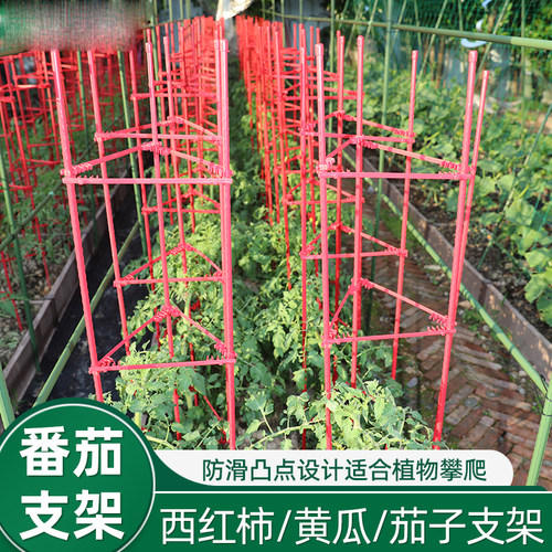 爬藤架种菜支架番茄菜园阳台种植