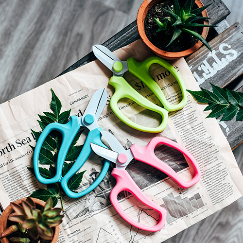 园艺修剪树枝花艺修剪树枝