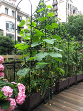 塑料种植箱西红柿黄瓜种菜槽阳台小菜园番茄种菜盆户外蔬菜箱花盆