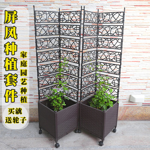 铁线莲种植箱爬藤套件树脂田园