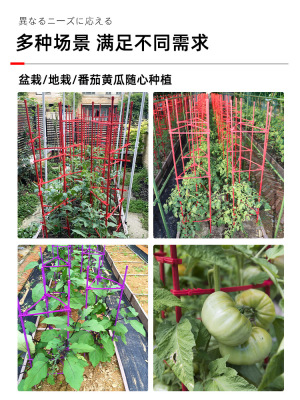 杆花盆瓜支撑架果菜西红柿爬藤植物攀爬花架菜架园种架子支架黄瓜