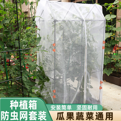 防虫网罩大棚防鸟网西o红柿黄瓜爬藤支架阳台园艺种植菜园户外套