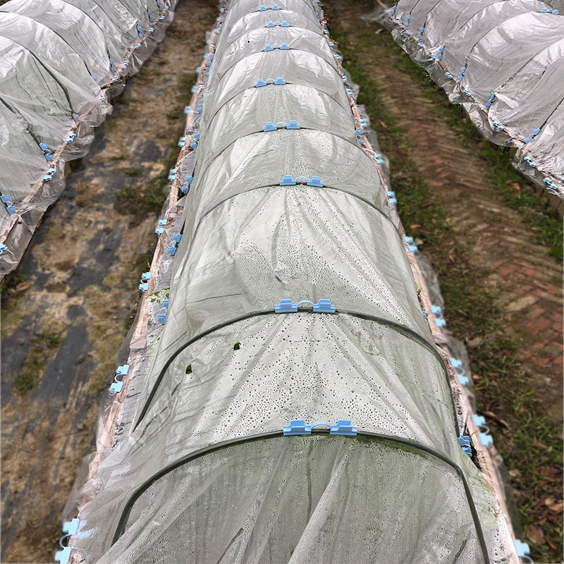 菜园保温骨架小型花卉防冻暖棚