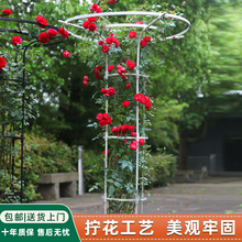 阳台伞型花架蔷薇花爬藤架月季铁线莲支架铁艺花柱支撑架爬藤架子