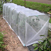 防虫用网大棚种菜搭架蔬菜盆菜地阳台花盆菜园菜盆种植防鸟罩丝网