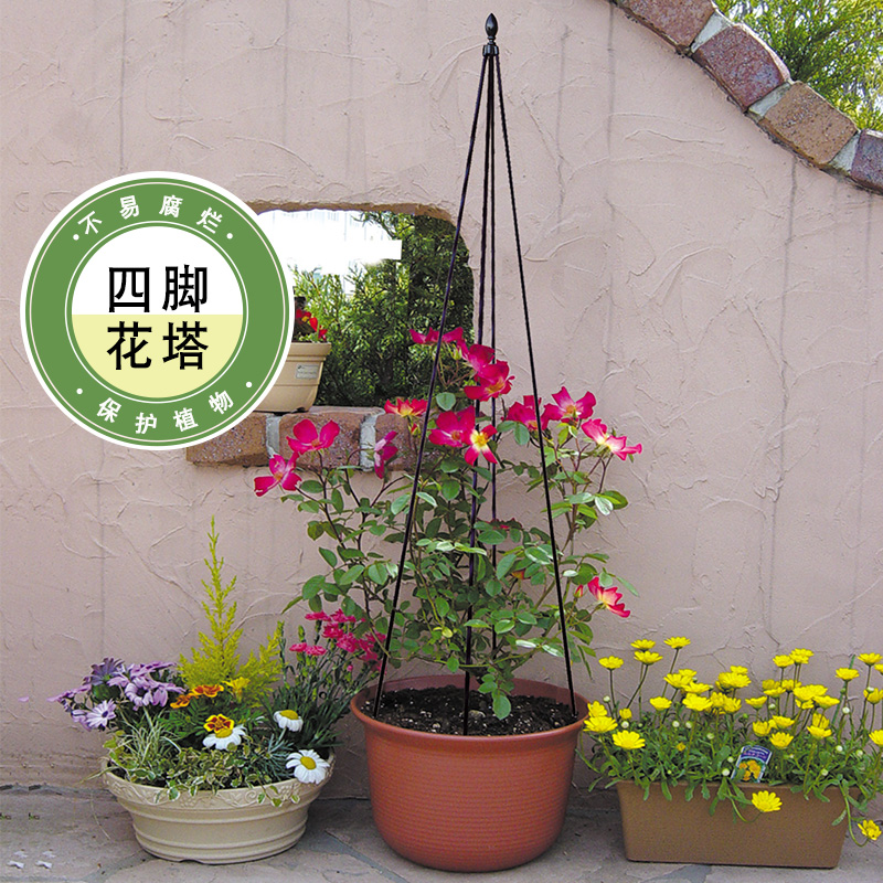 花支架支柱价格 花支架支柱图片 星期三 花支架支柱价格 花支架支柱图片 星期三