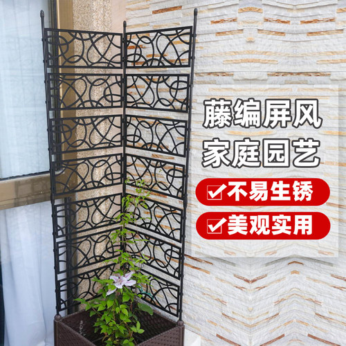 铁线莲月季爬藤花支架