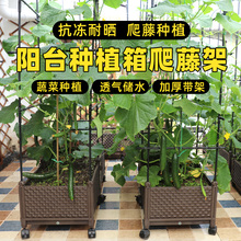 种植箱种菜盆花盆爬藤架黄瓜盆花园藤架楼顶菜园蔬菜阳台种菜架子